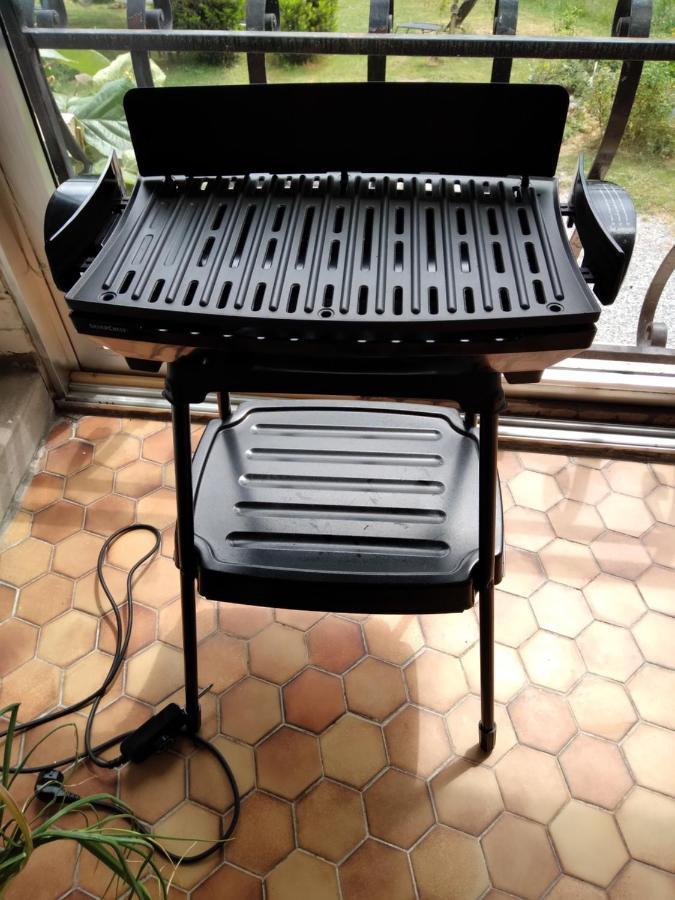 Dinant La Bergeronnette Avec La Chaleur Du Feu De Bois Et Le Jardin Exterior foto