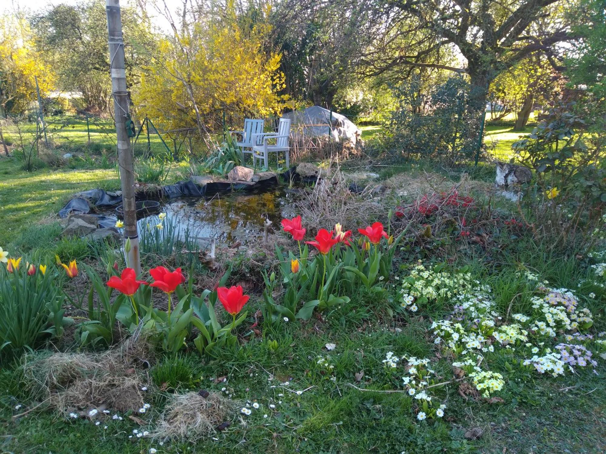 Dinant La Bergeronnette Avec La Chaleur Du Feu De Bois Et Le Jardin Quarto foto