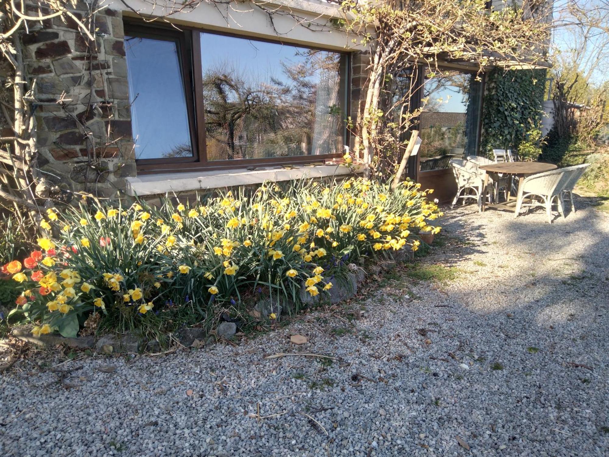 Dinant La Bergeronnette Avec La Chaleur Du Feu De Bois Et Le Jardin Quarto foto
