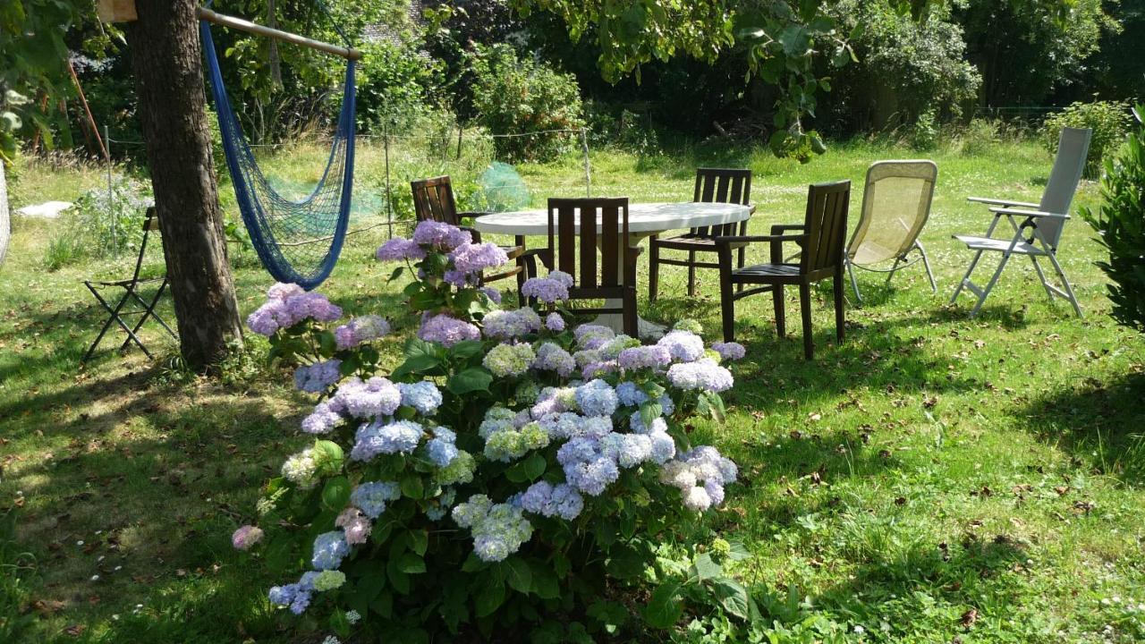 Dinant La Bergeronnette Avec La Chaleur Du Feu De Bois Et Le Jardin Exterior foto
